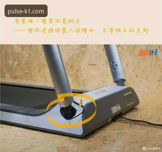 K1SPORT体育app使用教程：极致竞技平台的操作指南与深度评测